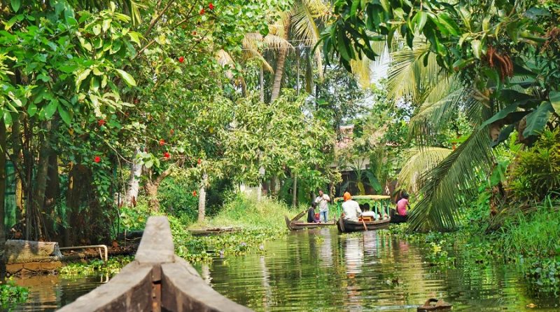 11 Best Places to Visit in Kerala￼